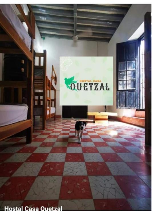 Hostel Casa Quetzal Campeche Exteriér fotografie